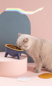 Pet Feeding Food Bowls With Stand