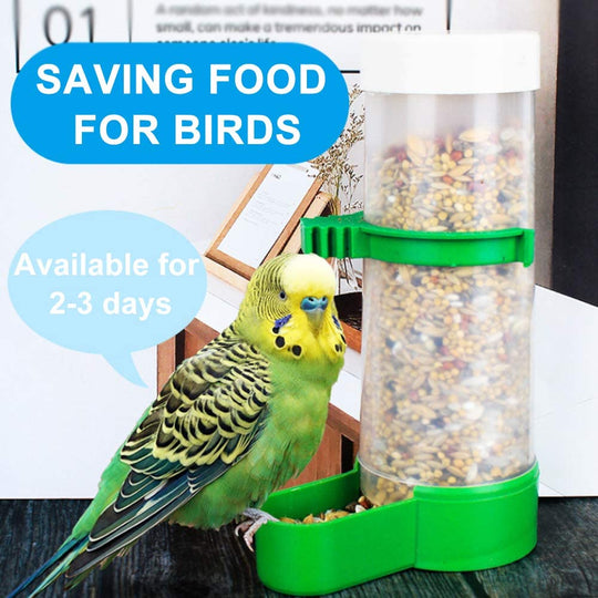 Bird Feeder & Water Dispenser Set