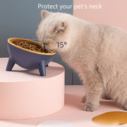 Pet Feeding Food Bowls With Stand