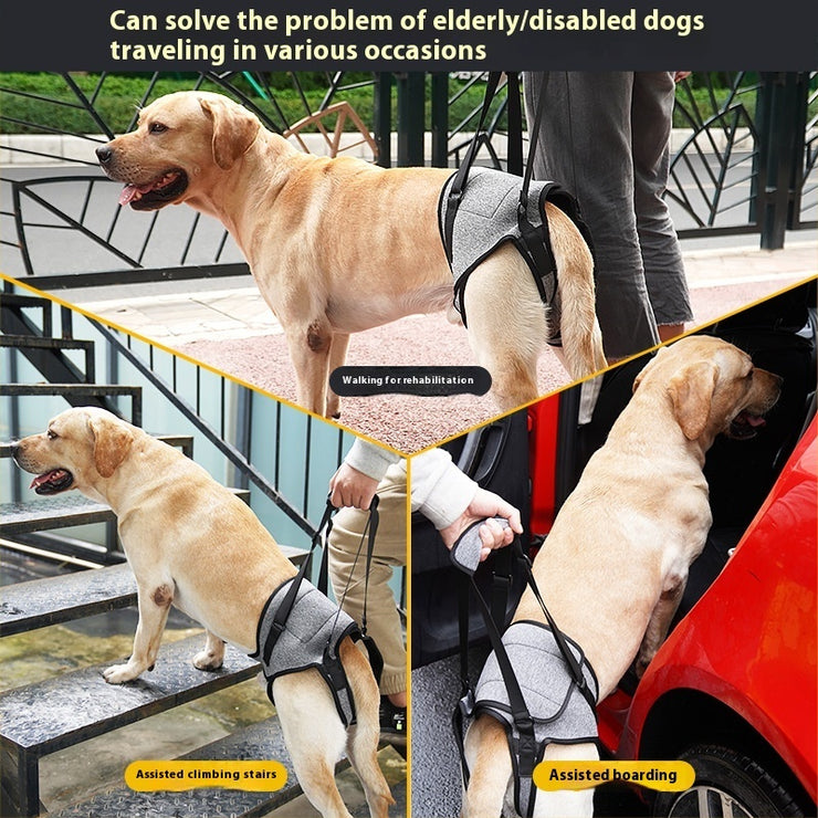 Dog Outing Back-style Auxiliary Strap