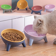 Pet Feeding Food Bowls With Stand