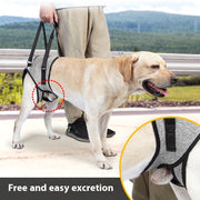 Dog Outing Back-style Auxiliary Strap