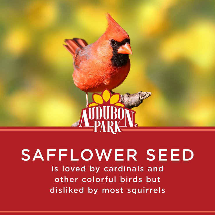 Safflower Seed Bird Food