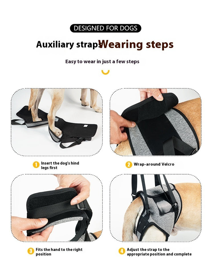 Dog Outing Back-style Auxiliary Strap