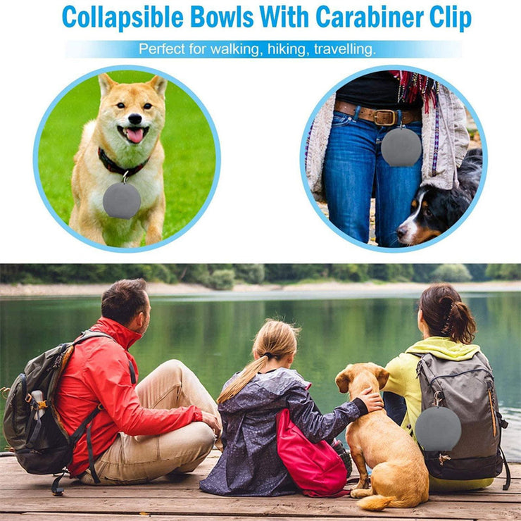 Foldable Rubber Double Pet Feeding Bowl