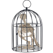 Skeleton Crow In Cage Halloween Decor