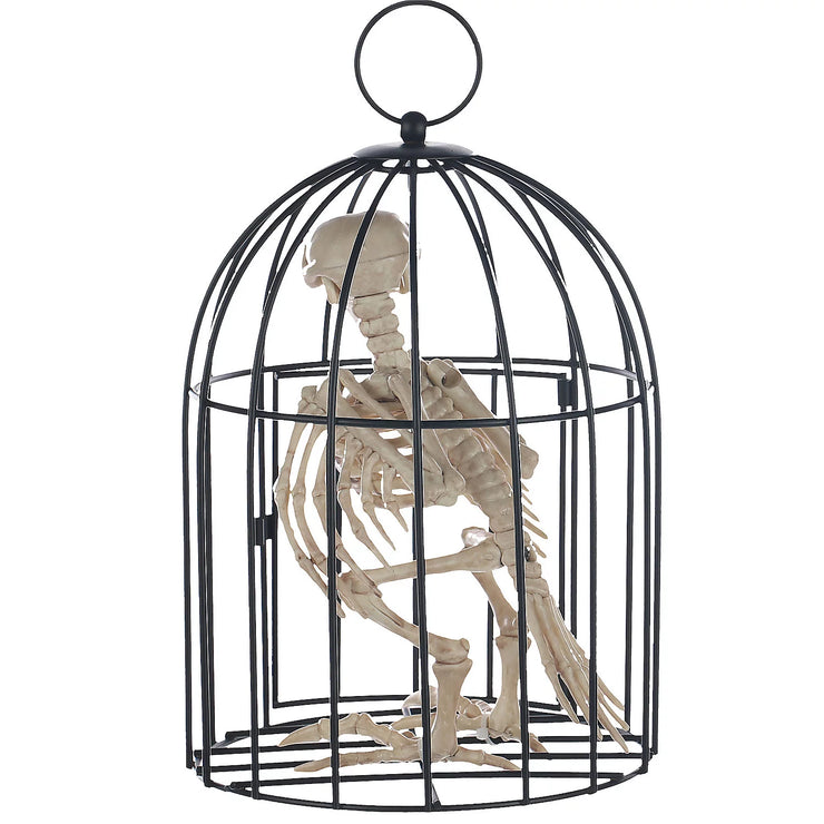 Skeleton Crow In Cage Halloween Decor