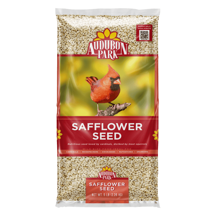 Safflower Seed Bird Food