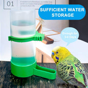 Bird Feeder & Water Dispenser Set