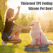 Foldable Rubber Double Pet Feeding Bowl