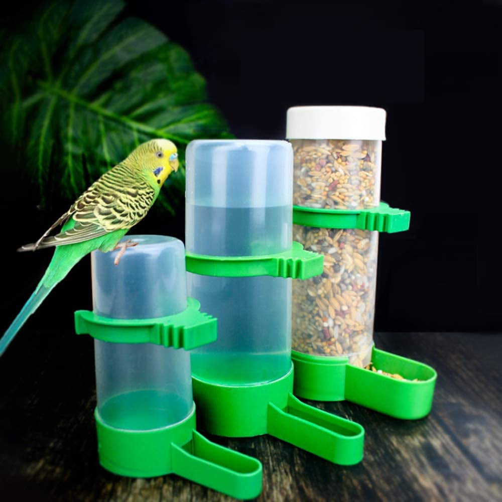 Bird Feeder & Water Dispenser Set