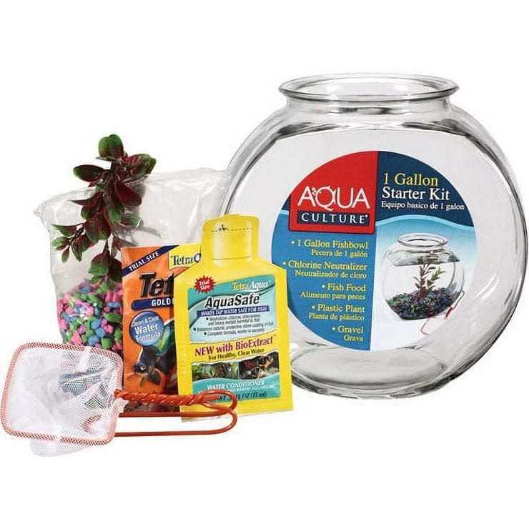 Fish Bowl With Starter Kit