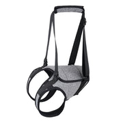 Dog Outing Back-style Auxiliary Strap